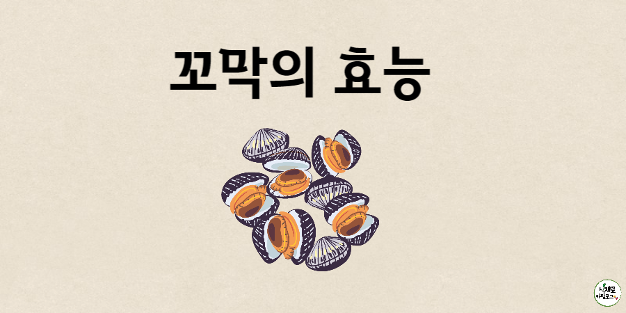 꼬막의-효능-썸네일