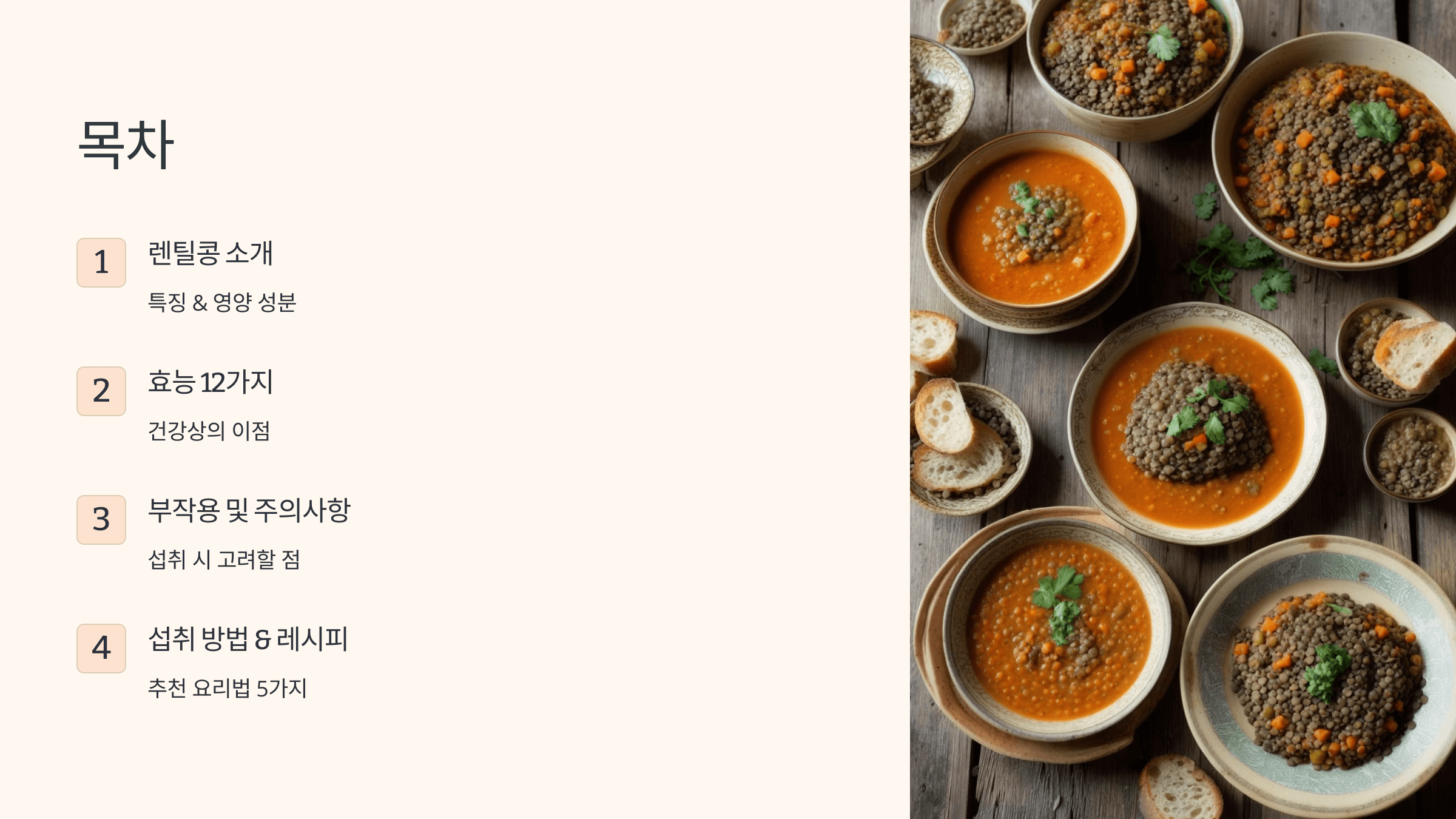 렌틸콩 사진입니다.