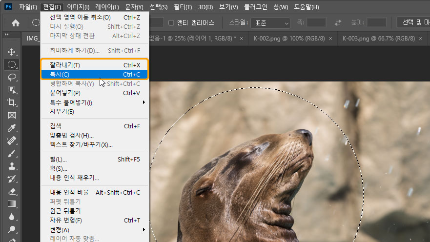 편집 메뉴 아래의 복사, 잘라내기