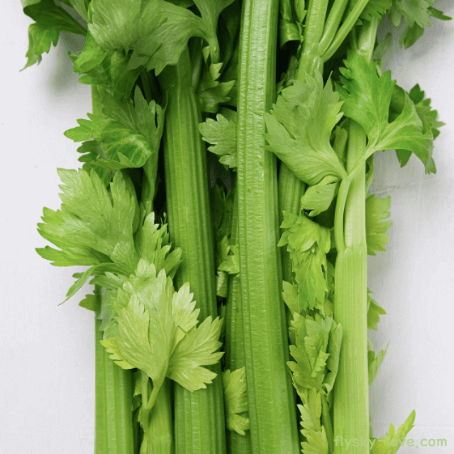 뼈 건강에 도움되는 아삭한 샐러리