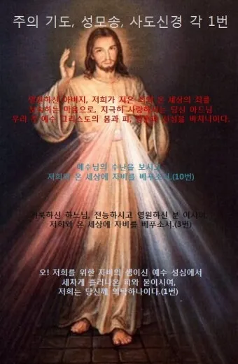 천주교 하느님 자비의 5단 기도 자비의 시간은_21