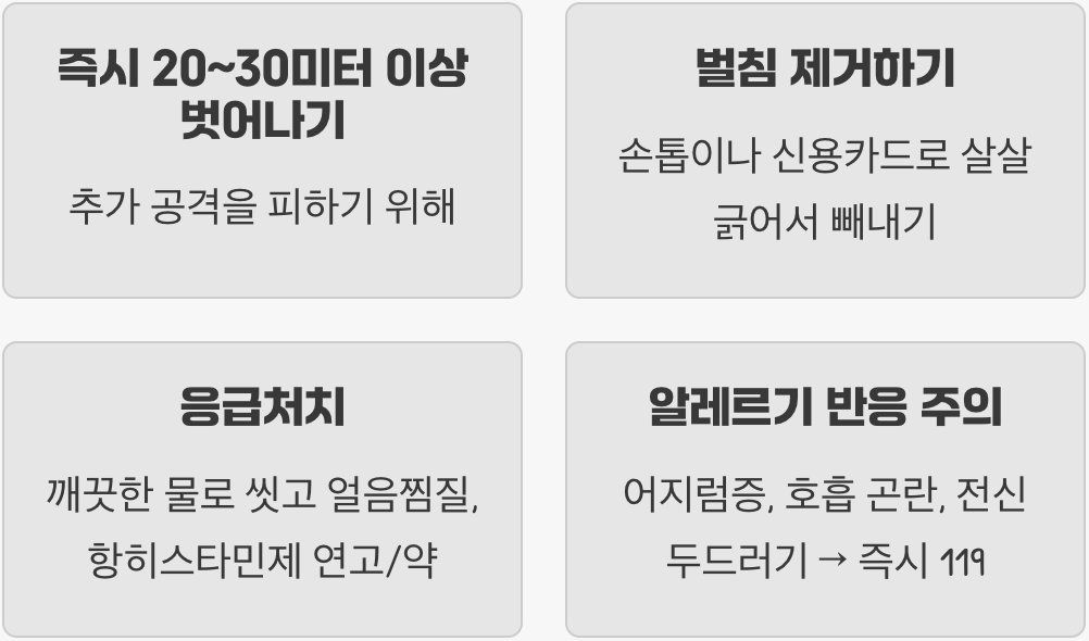쏘였다면, 이렇게 대처하세요!