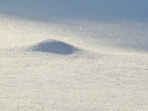 당뇨에 좋은 음식과 나쁜 음식