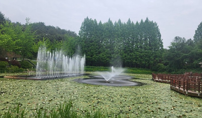 음악분수 사진