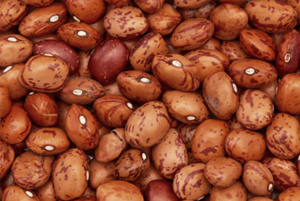 셀레늄이 많은 음식02