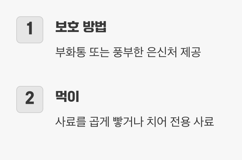 '폭번'의 기쁨과 슬픔, 치어 관리법