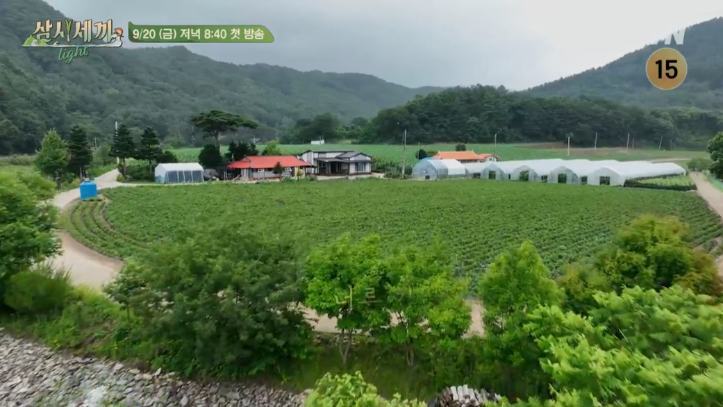 삼시세끼 라이트
