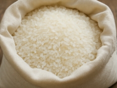 쌀벌레 없애는법