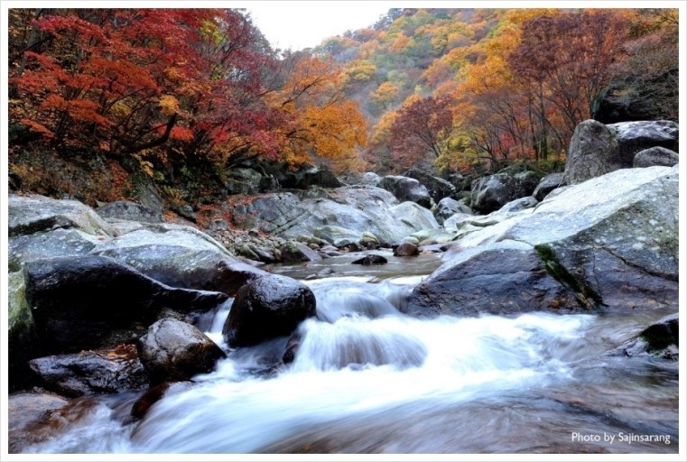 단풍 구경 명소