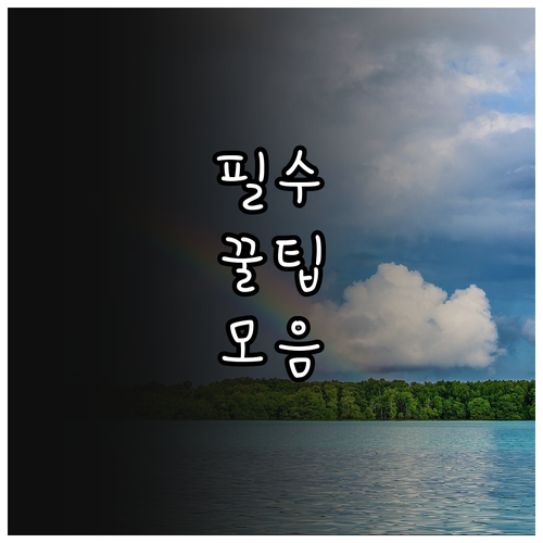 영동군민이라면 필수 2025 영동사랑..