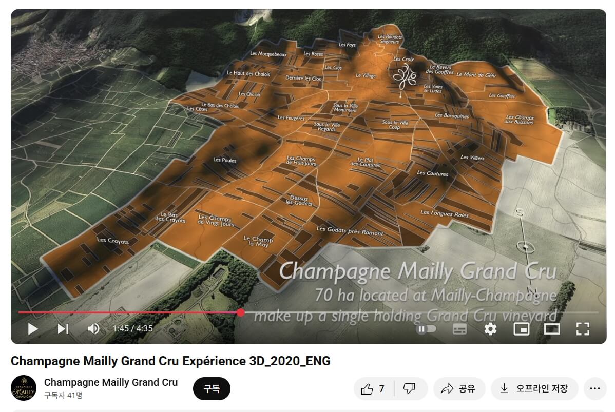 [France] Mailly Grand Cru Extra Brut, Montagne de Reims, Champagne｜마이 그랑 크뤼 엑스트라 브뤼, 몽타뉴 드 랭스, 샹파뉴