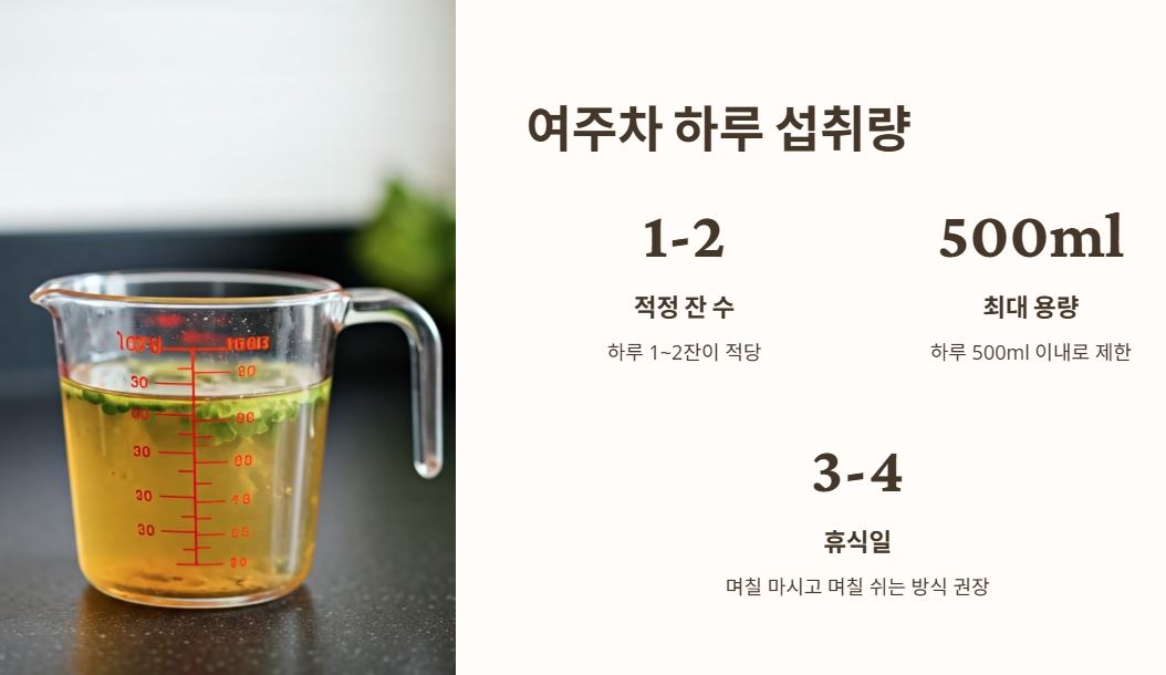 여주차 하루 섭취량