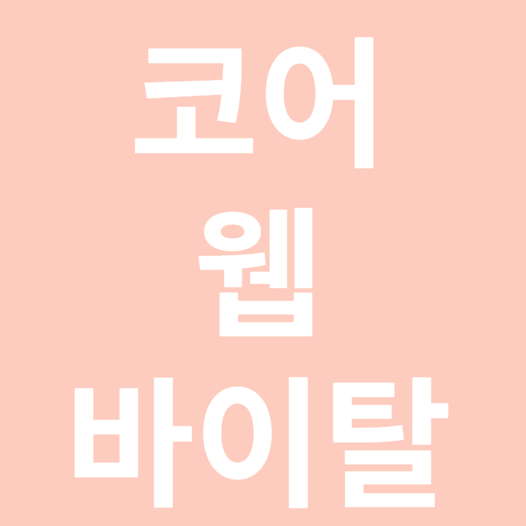 코어 웹 바이탈(Core Web Vitals)