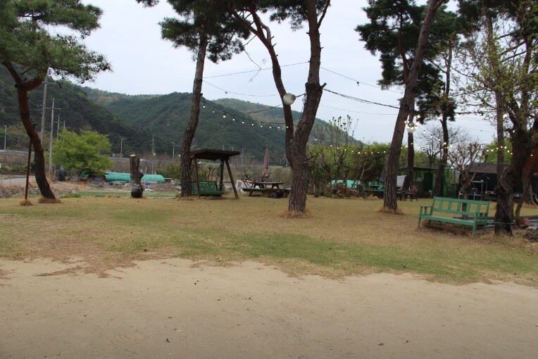 생생정보 할매 밥 됩니까 대구 옥포 시래기된장찌개 맛집 솔밭생수식당