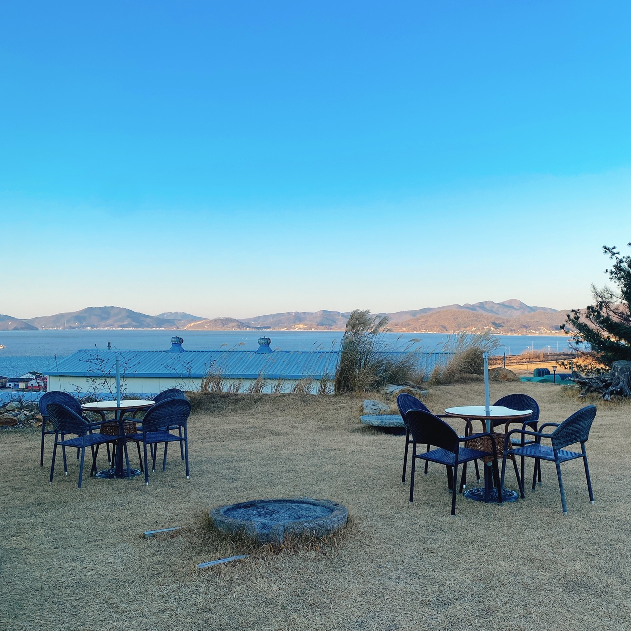 강화도 야생화 뜰 카페