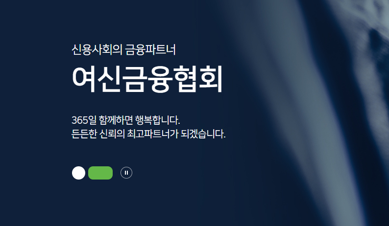 여신금융협회 카드포인트 통합조회