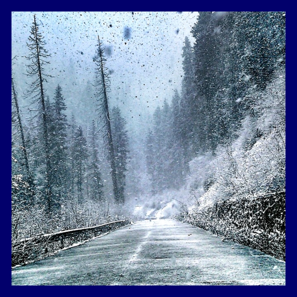 경기도-폭설-피해-재난지원금-대상자-확인