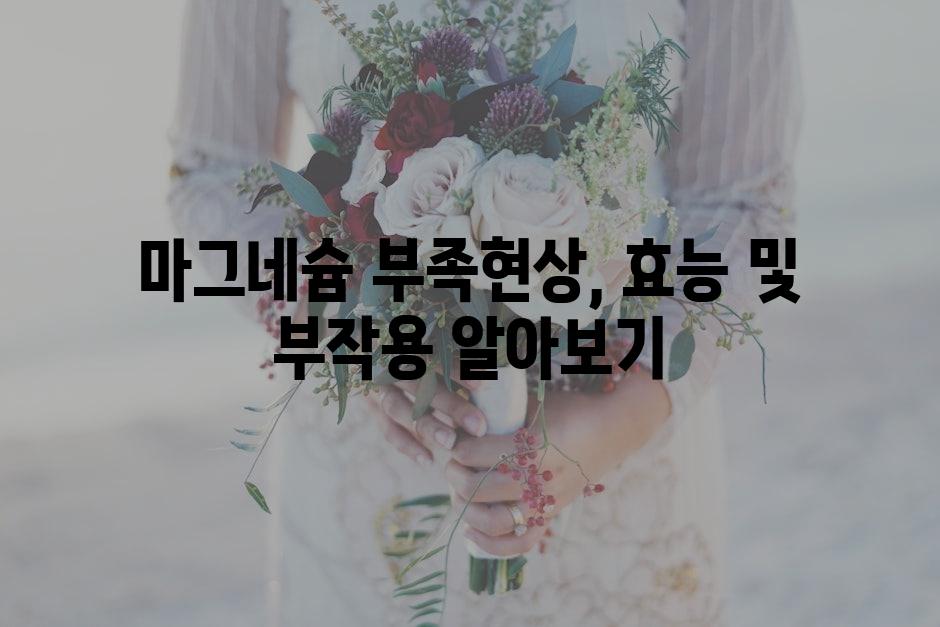 샘플 (66)