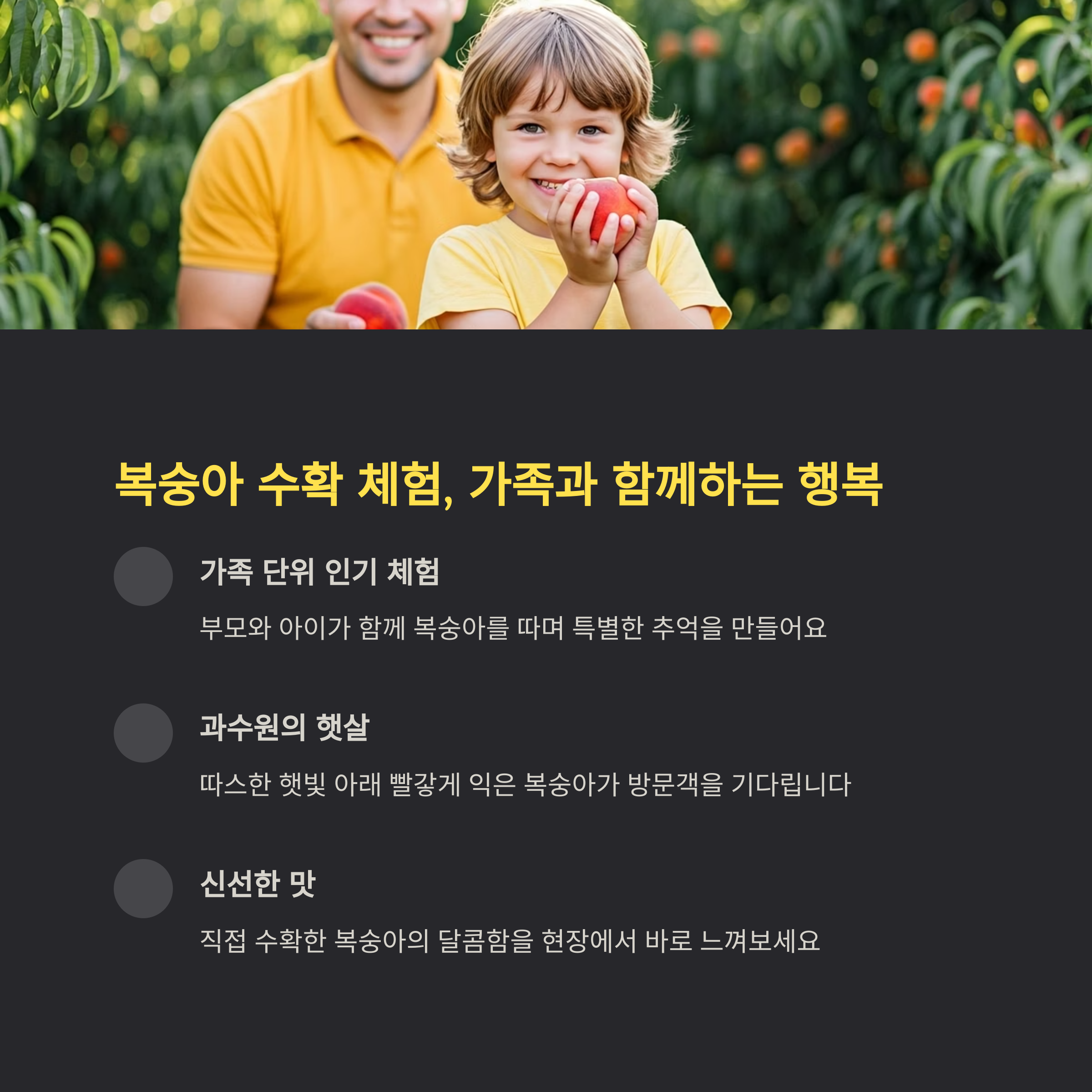 복숭아 수확 체험&amp;#44; 가족과 함께하는 행복