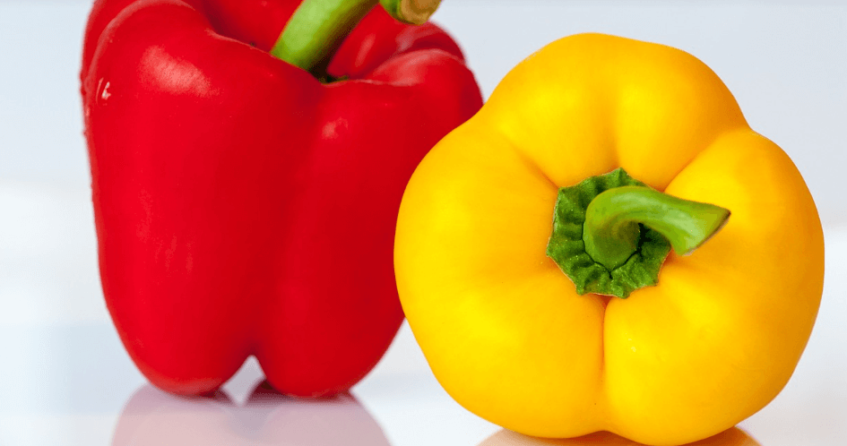 파프리카 사진 - 55