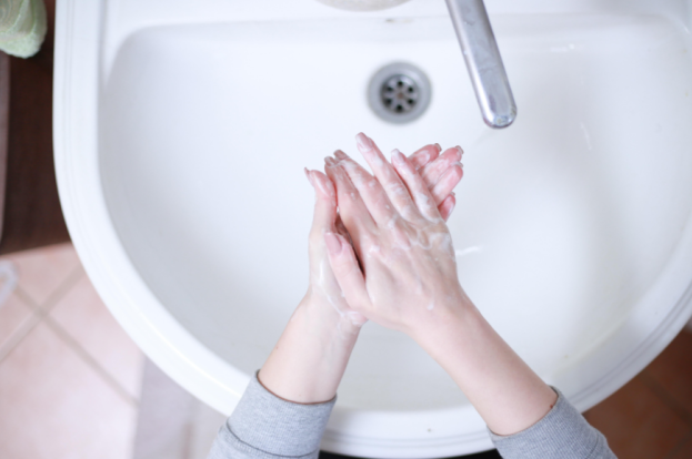 대장균 (Escherichia coli, E. coli)