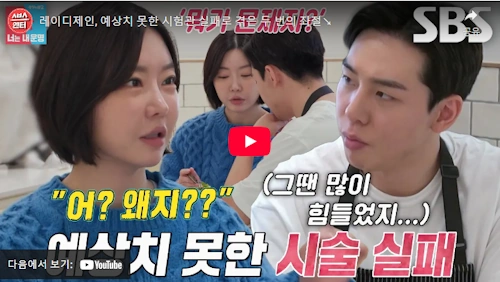 레이디제인 시험관 쌍둥이 근황