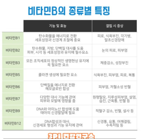 비타민B군으로 활력 되찾기 관련 이미지