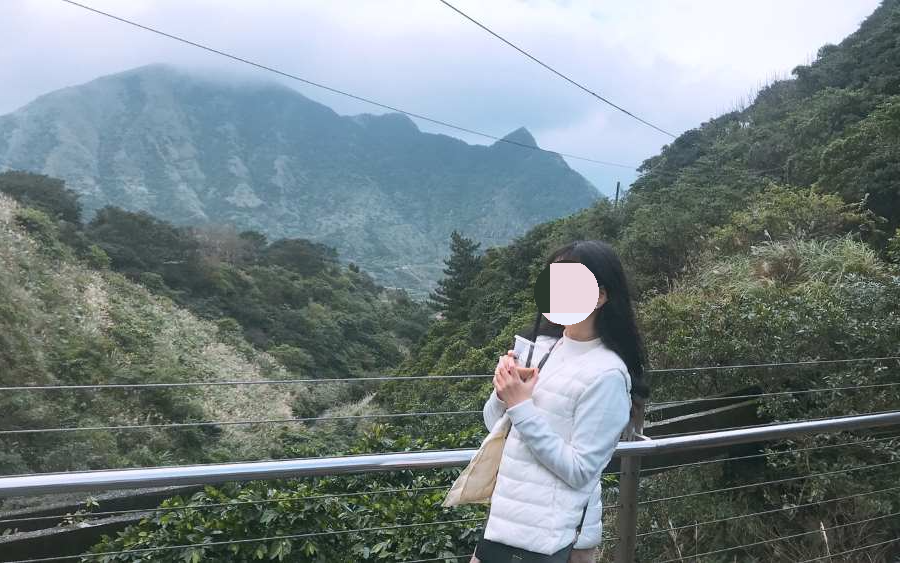 진과스