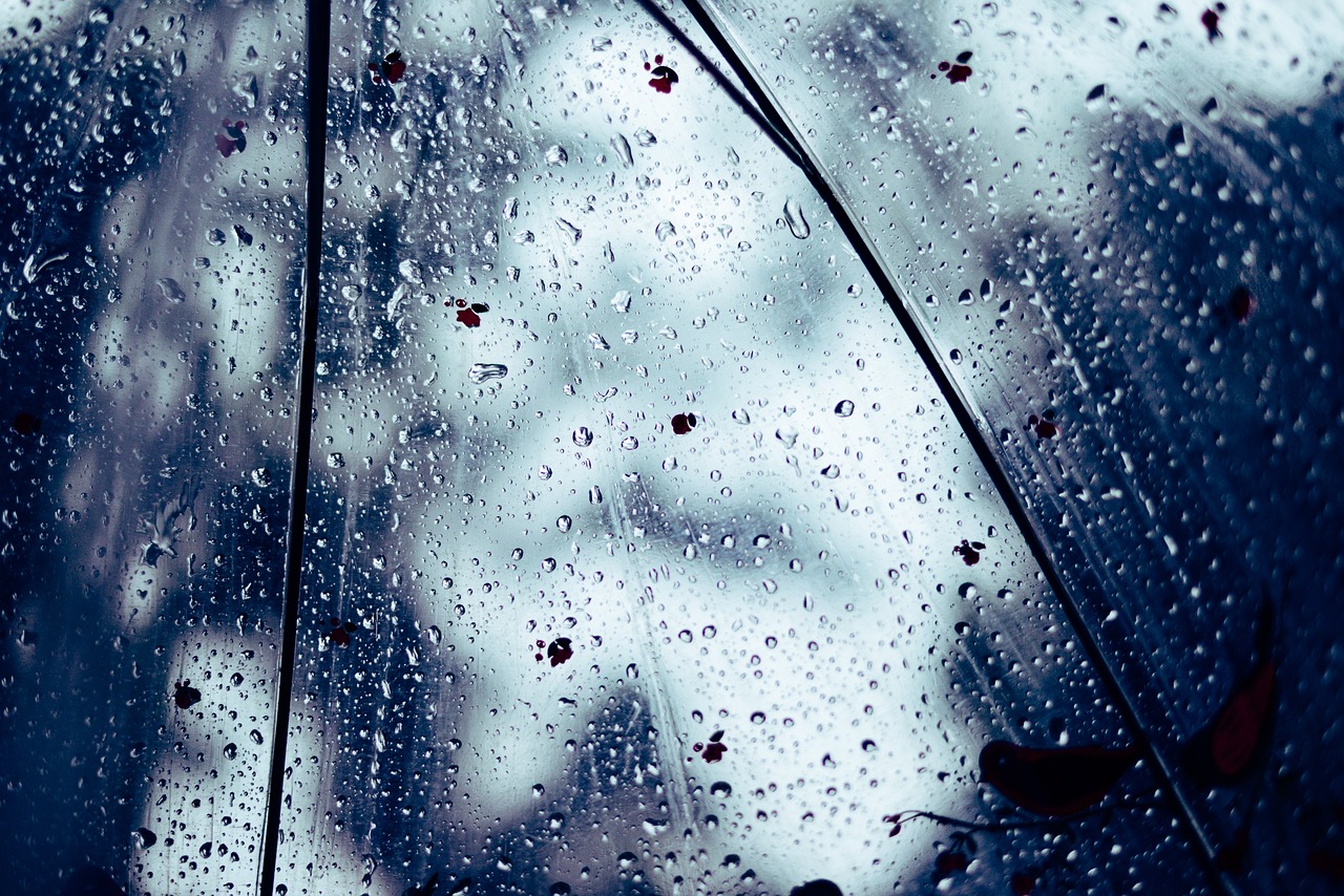 비오는 날 관련 사진
