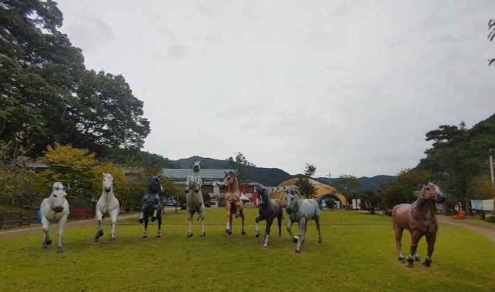 청양 가볼만한곳 베스트10