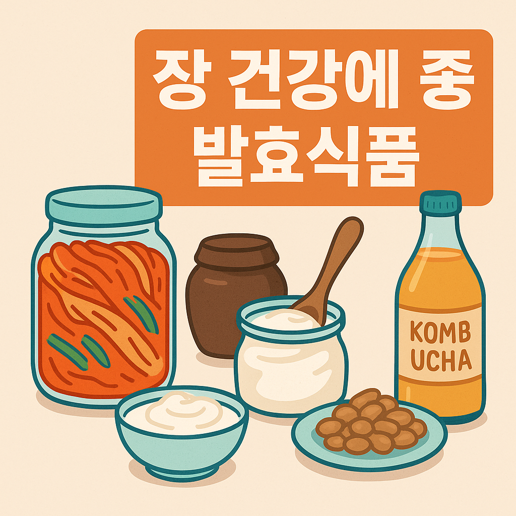 장 건강에 좋은 발효식품