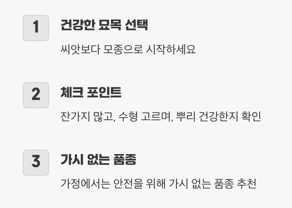 첫 단추가 중요해요, 튼튼한 모종 고르기