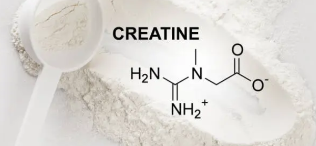 멜라토닌 관련 사진