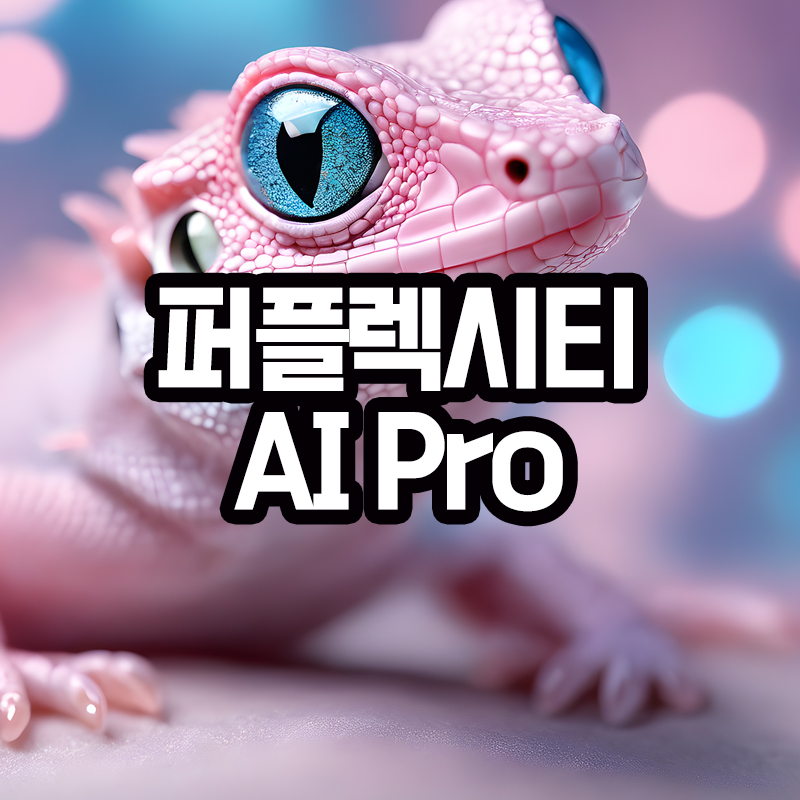 퍼플렉시티