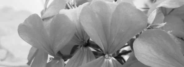 최저 온도: -3~-2도