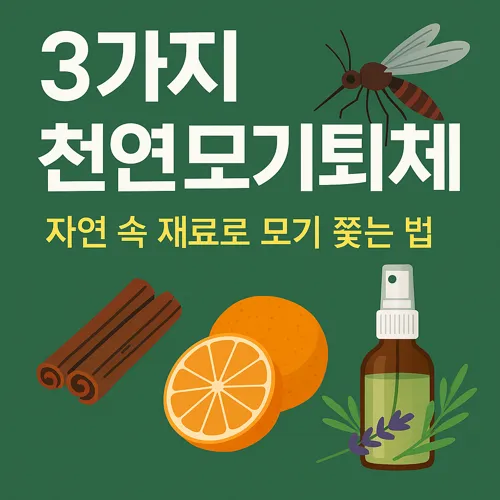 계피와 오렌지를 활용한 천연 모기퇴치제