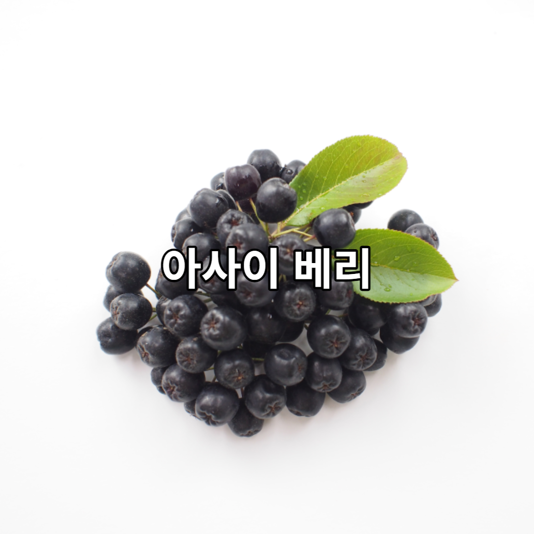 아사이 베리