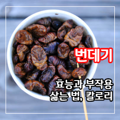 번데기 효능 12가지 및 부작용과 삶는법&#44; 칼로리