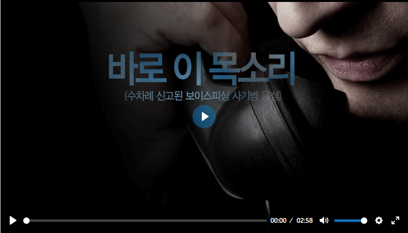 보이스 피싱