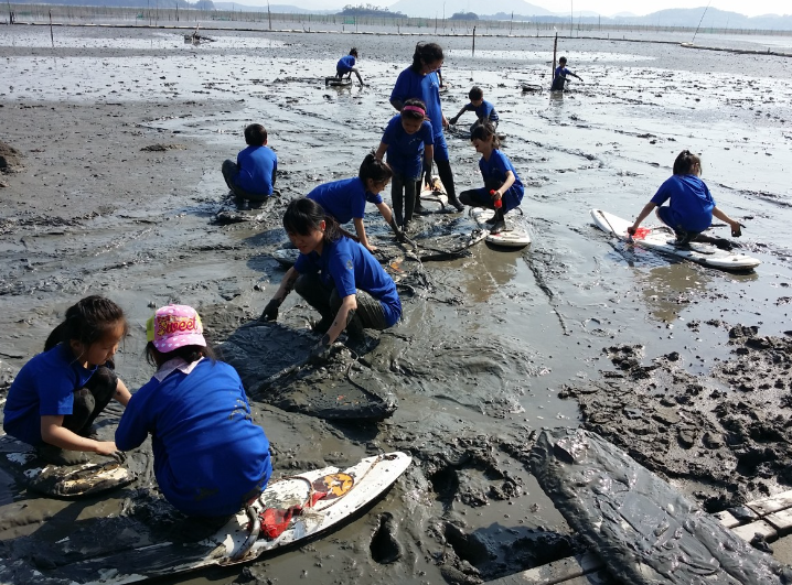 순천 뻘배체험장 정보 안내