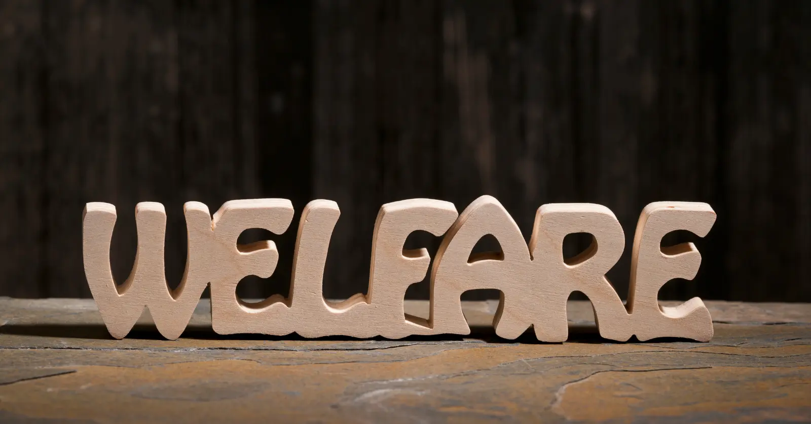 전국민 마음투자 지원사업 자격 조건