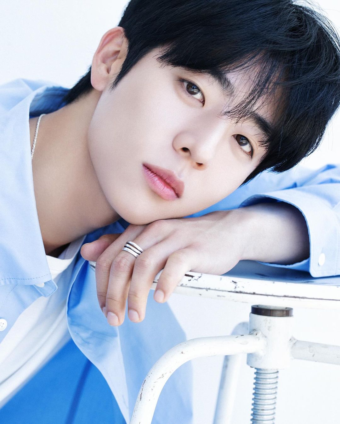 채종협