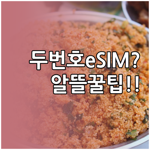 휴대폰 하나로 두 번호 쓰는 eSIM..