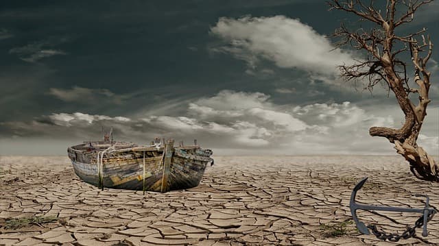 기후 트라우마란 무엇인가?