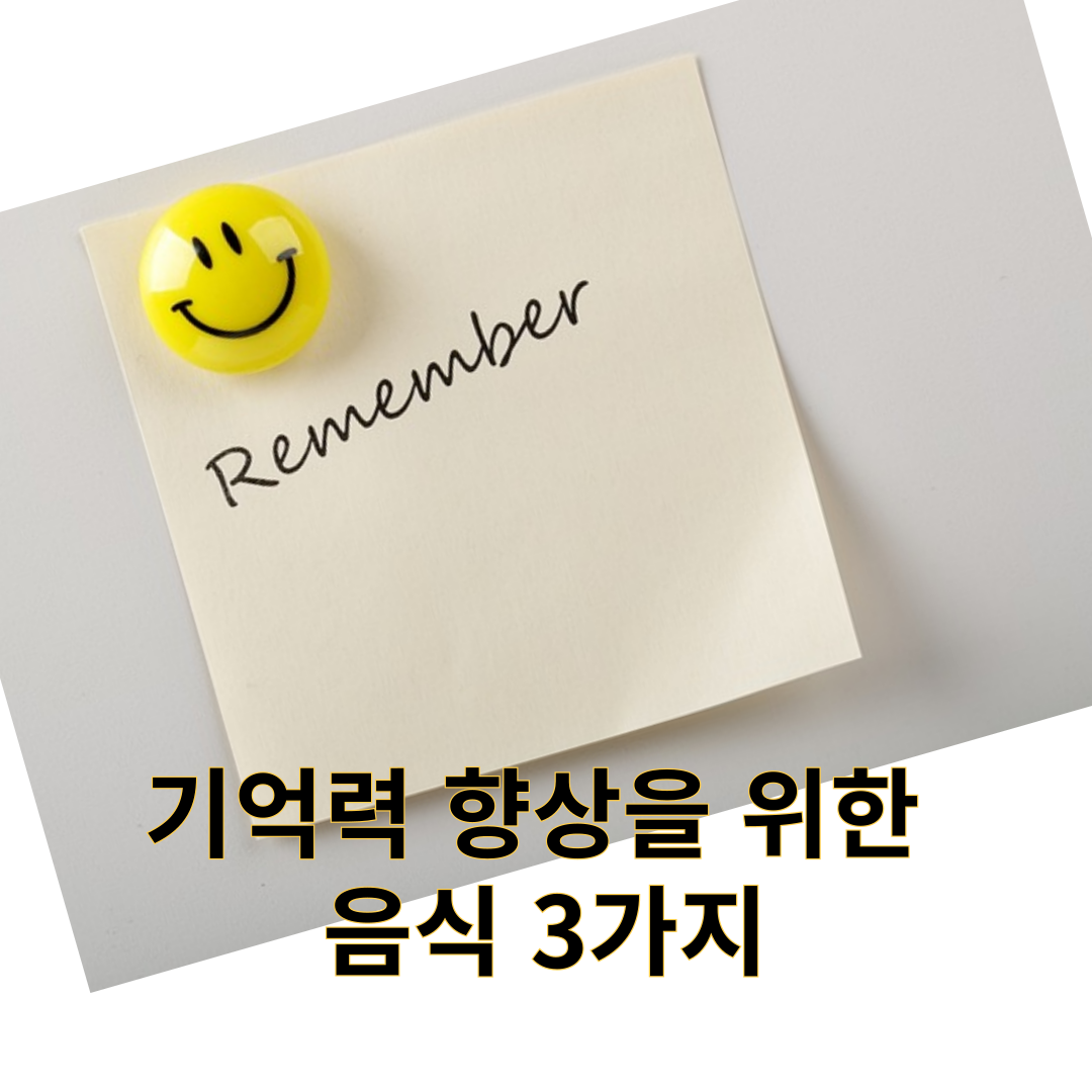 기억력 향상을 위한 메모지 사진