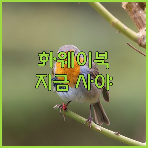 화웨이 MATEBOOK14, 왜 지금..
