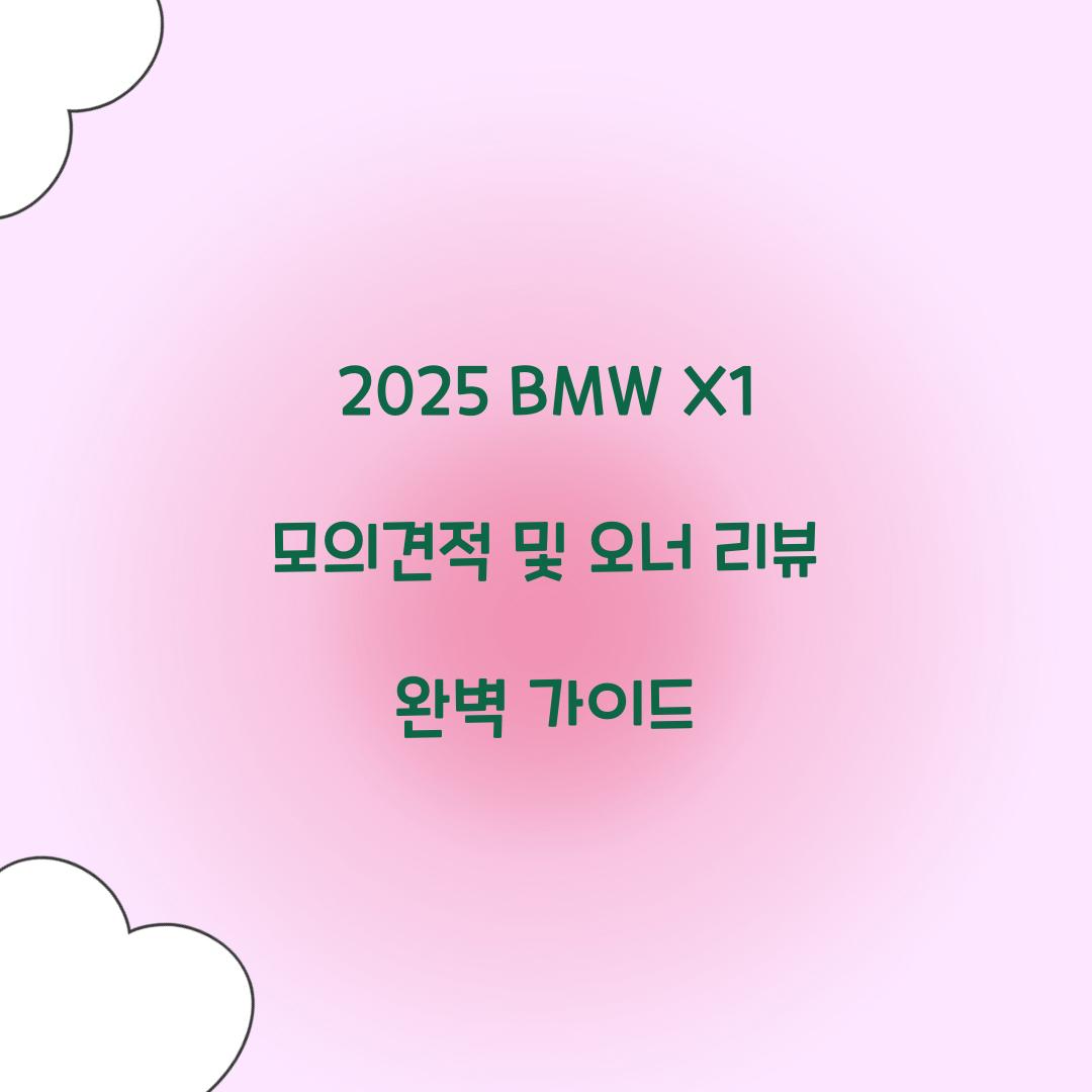 2025 BMW X1 모의견적