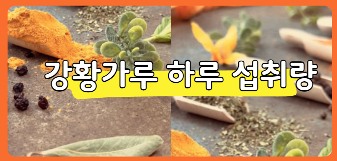 강황가루 하루 섭취량 및 먹는 방법