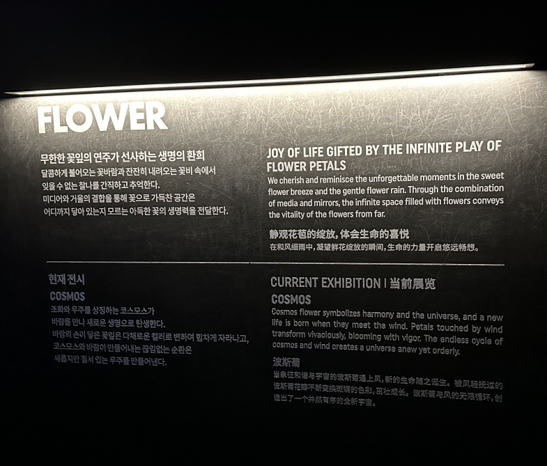 아르떼뮤지엄 강릉 FLOWER 전시 소개 패널&amp;#44; 생명의 환희와 COSMOS 전시 설명이 적힌 어두운 벽면 안내문