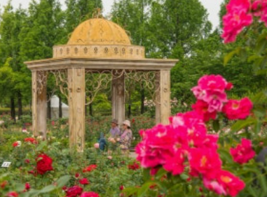 한밭수목원 – 도심 속 힐링 산책로